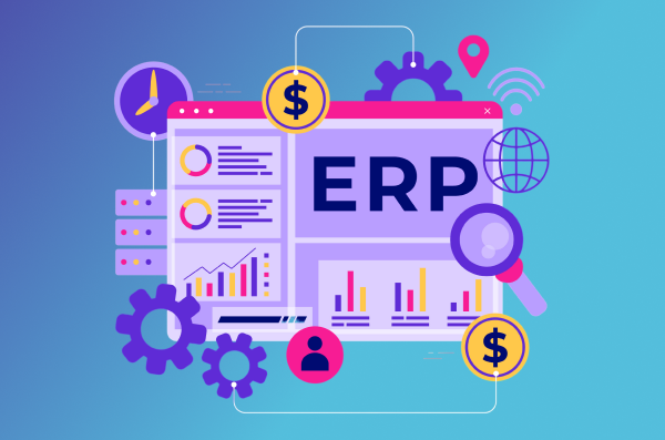 End-to-End ERP Leadership
